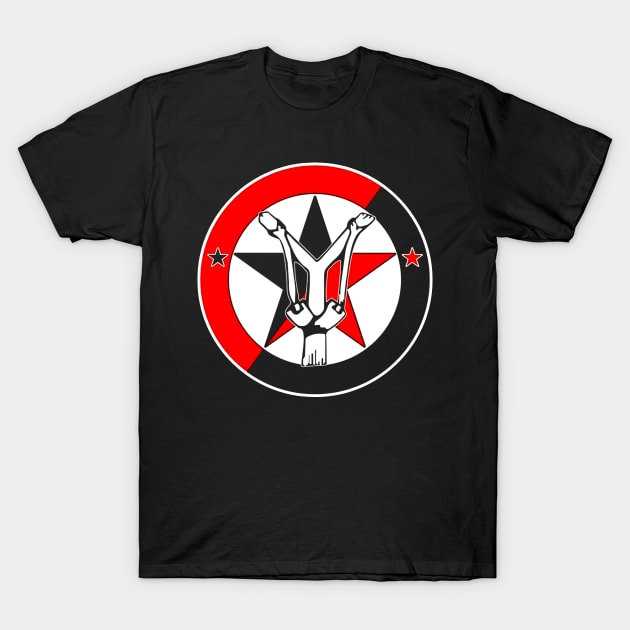 anarchy T-Shirt by ungovernable